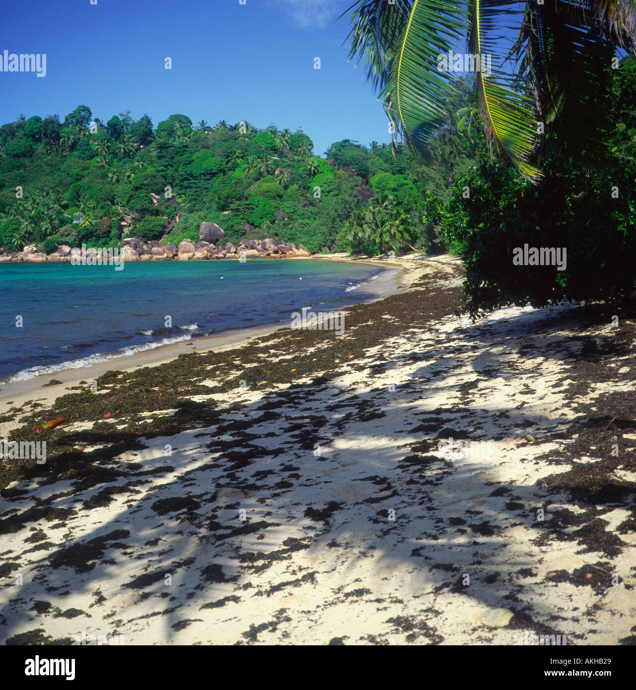 Grand Anse Strand Praslin Seychellen Stockfoto
