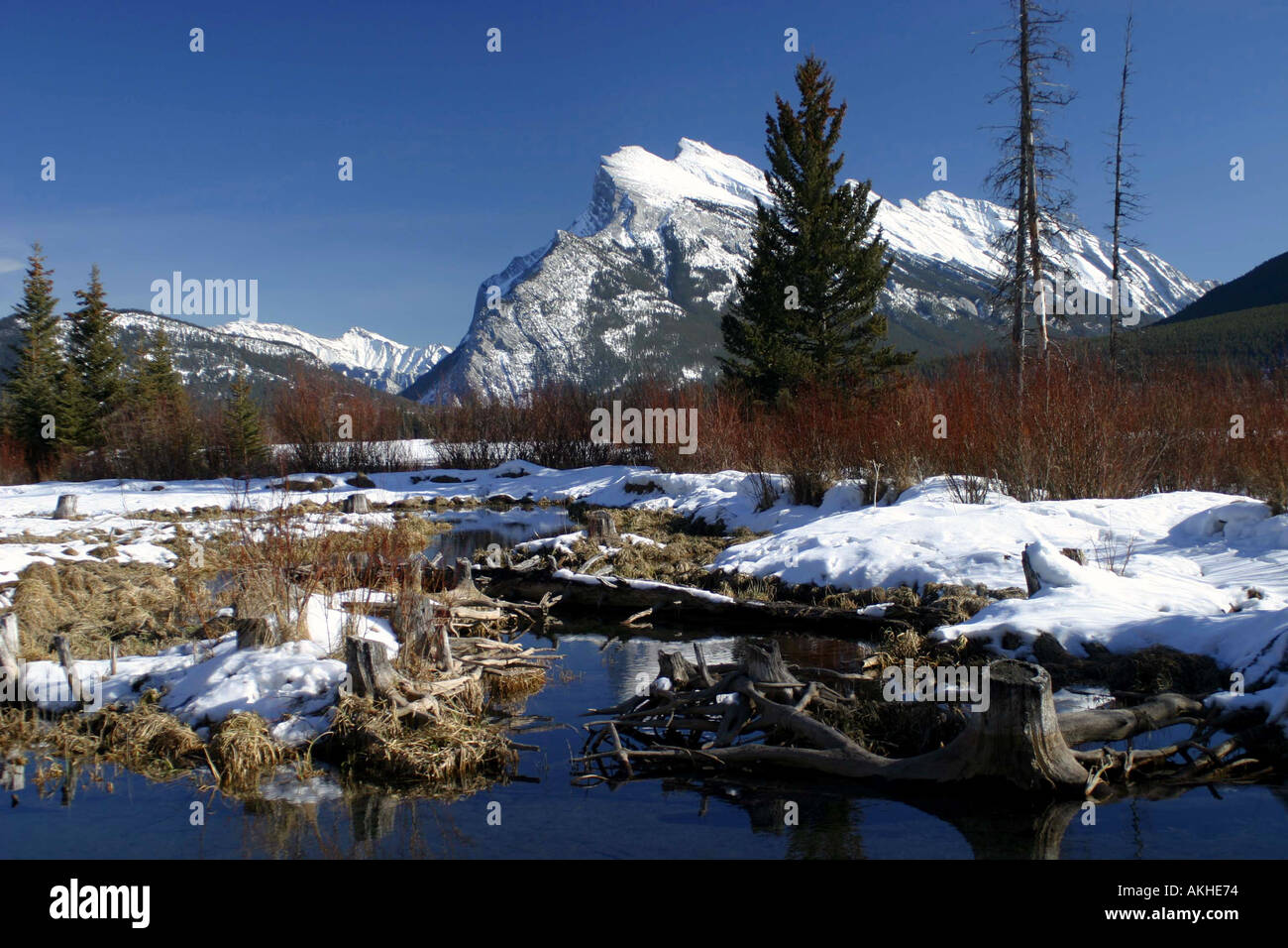 Rocky Mountain Landschaft Banff Nationalpark Alberta Kanada Nordamerika horizontale Stockfoto
