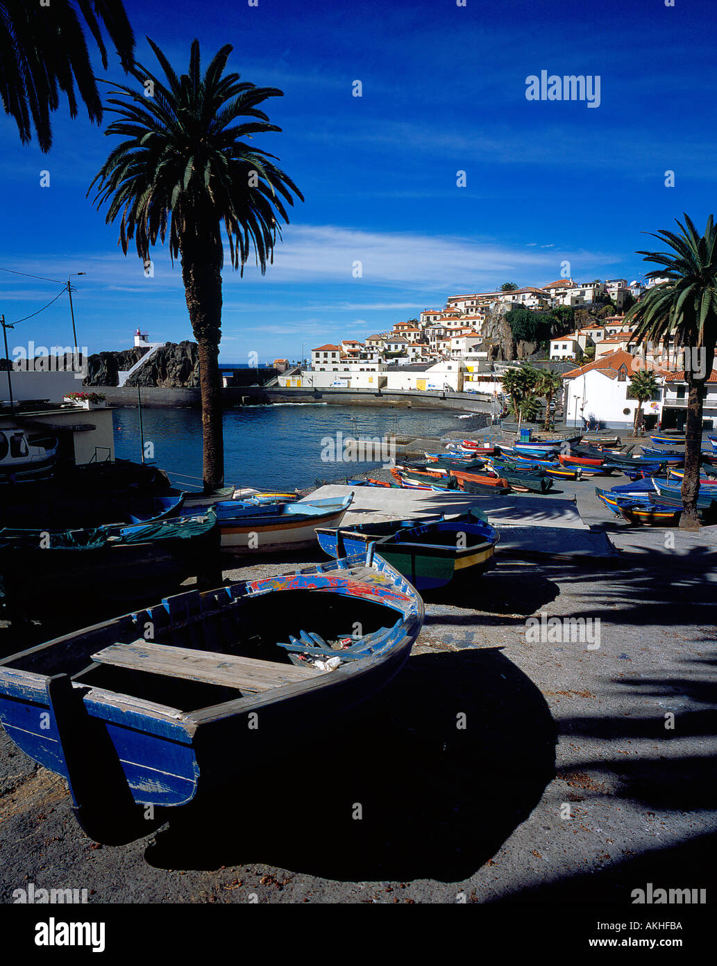Hafen von Camara de Lobos Madeira Portugal Europa. Foto: Willy Matheisl Stockfoto