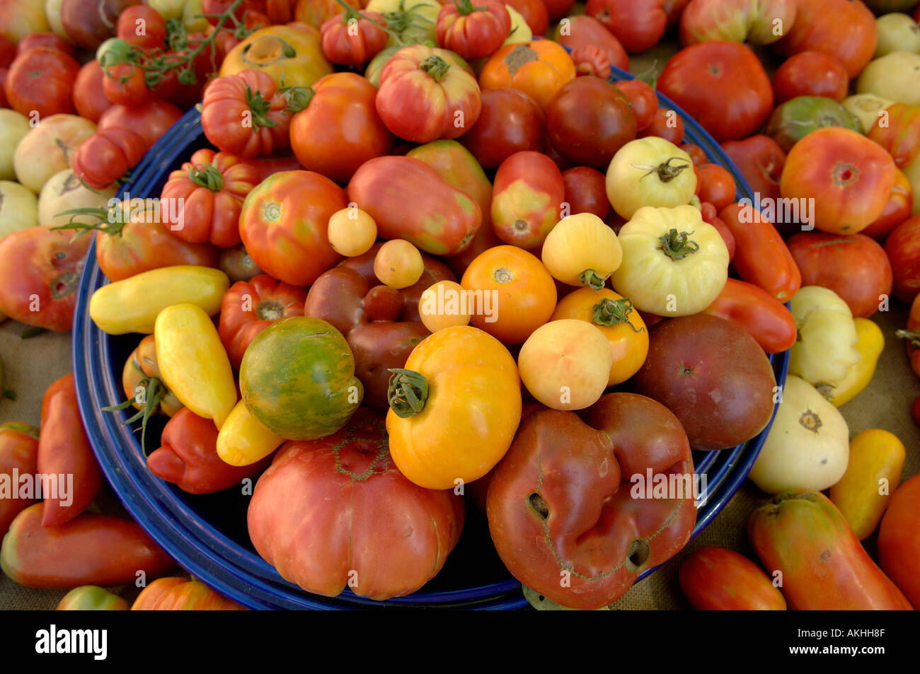 Tisch voll von verschiedenen Arten von Tomaten Stockfoto