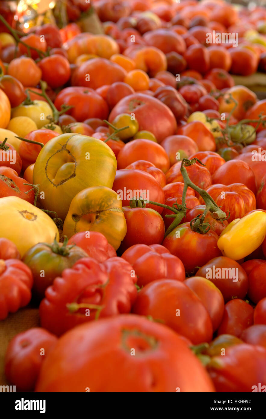 Tisch voll von verschiedenen Arten von Tomaten Stockfoto