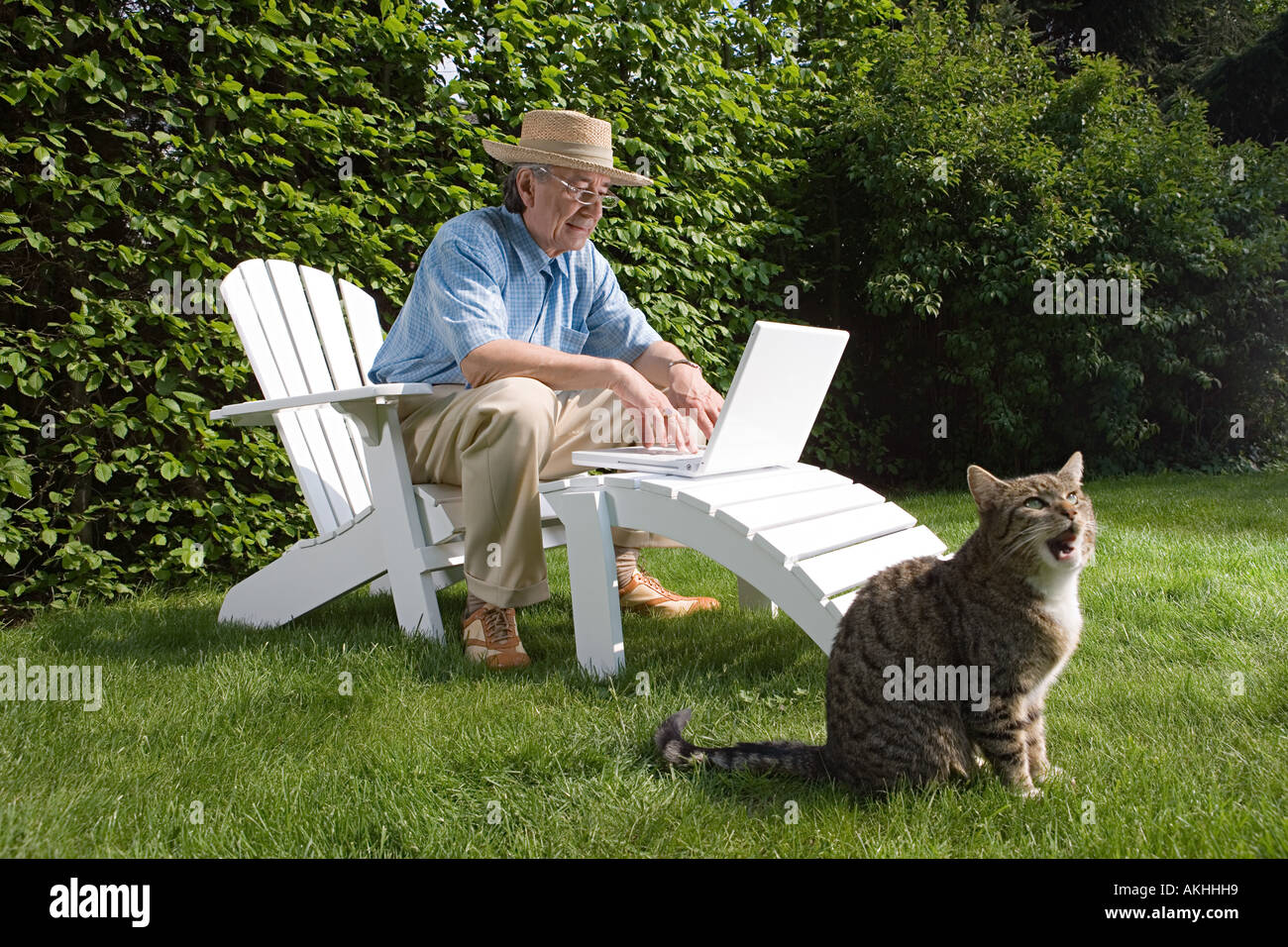 Mann im Garten mit Laptop und Katze Stockfoto