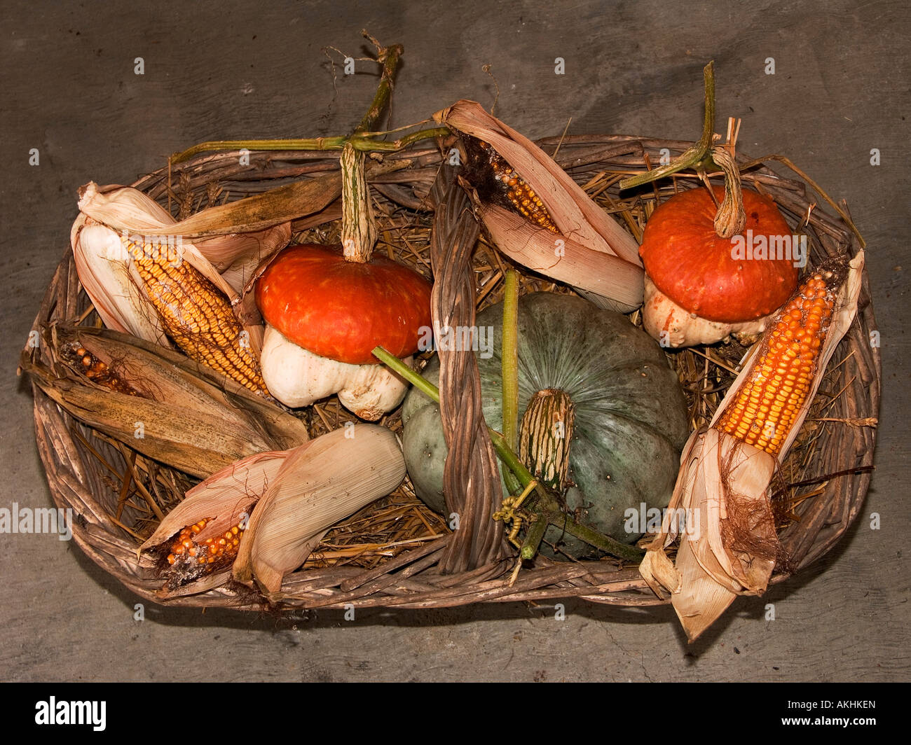 Im Herbst Früchte und Gemüse, Pilze, Cossano Canavese, Piemont, Italien