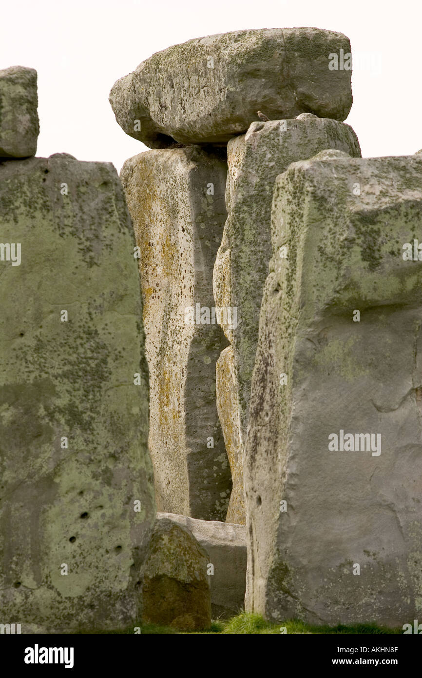 Detail der Stonehenge Wiltshire UK der prähistorischen Stein Kreis Stockfoto