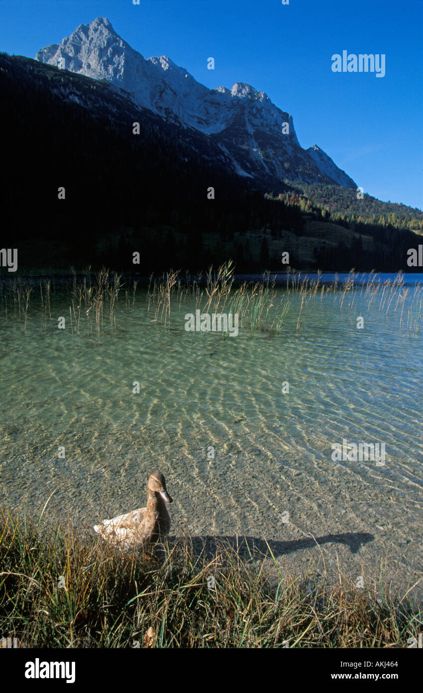 See-Ferchensee-Alpen-Bayern Stockfoto