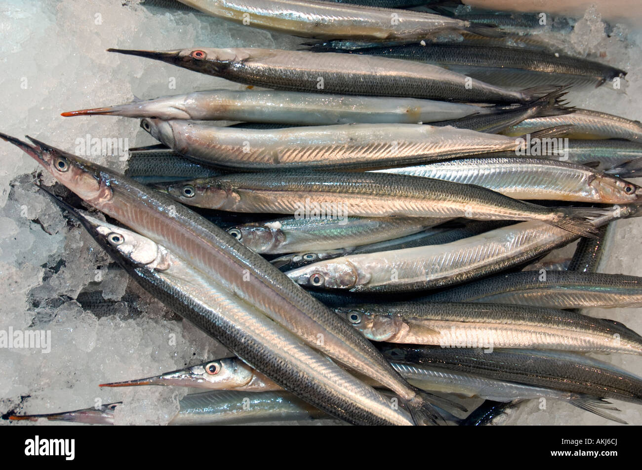 Fischständen am Tsukiji-Fischmarkt Stockfoto