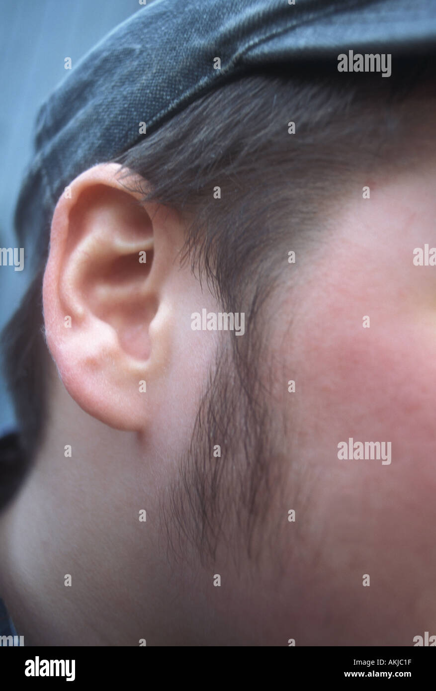 Lange koteletten Fotos und Bildmaterial in hoher Auflösung Alamy