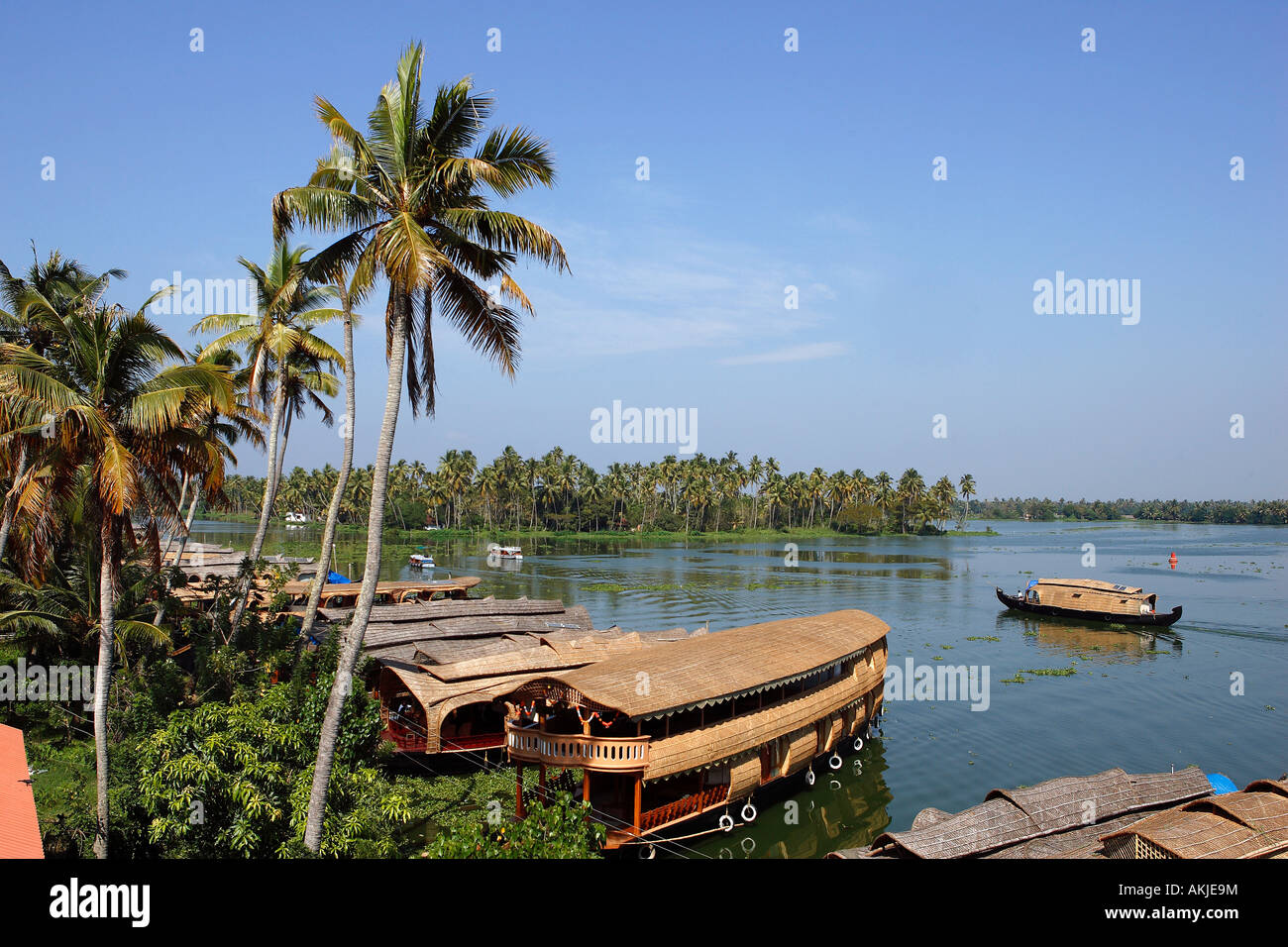 Indien, Kerala, Allepey, Backwaters Stockfoto