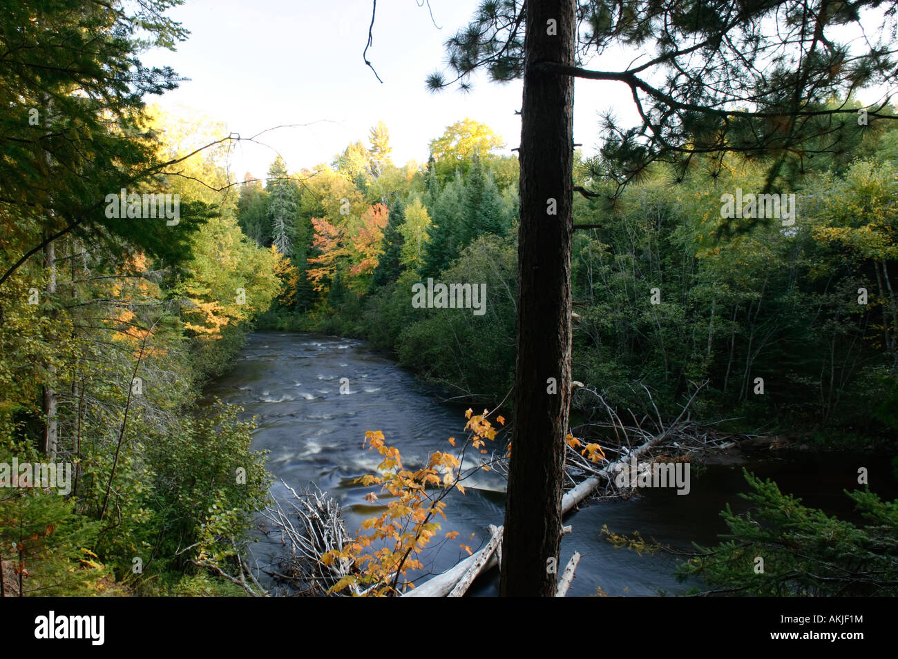 Zwei Nerven Fluss Michigan s obere Halbinsel Stockfoto