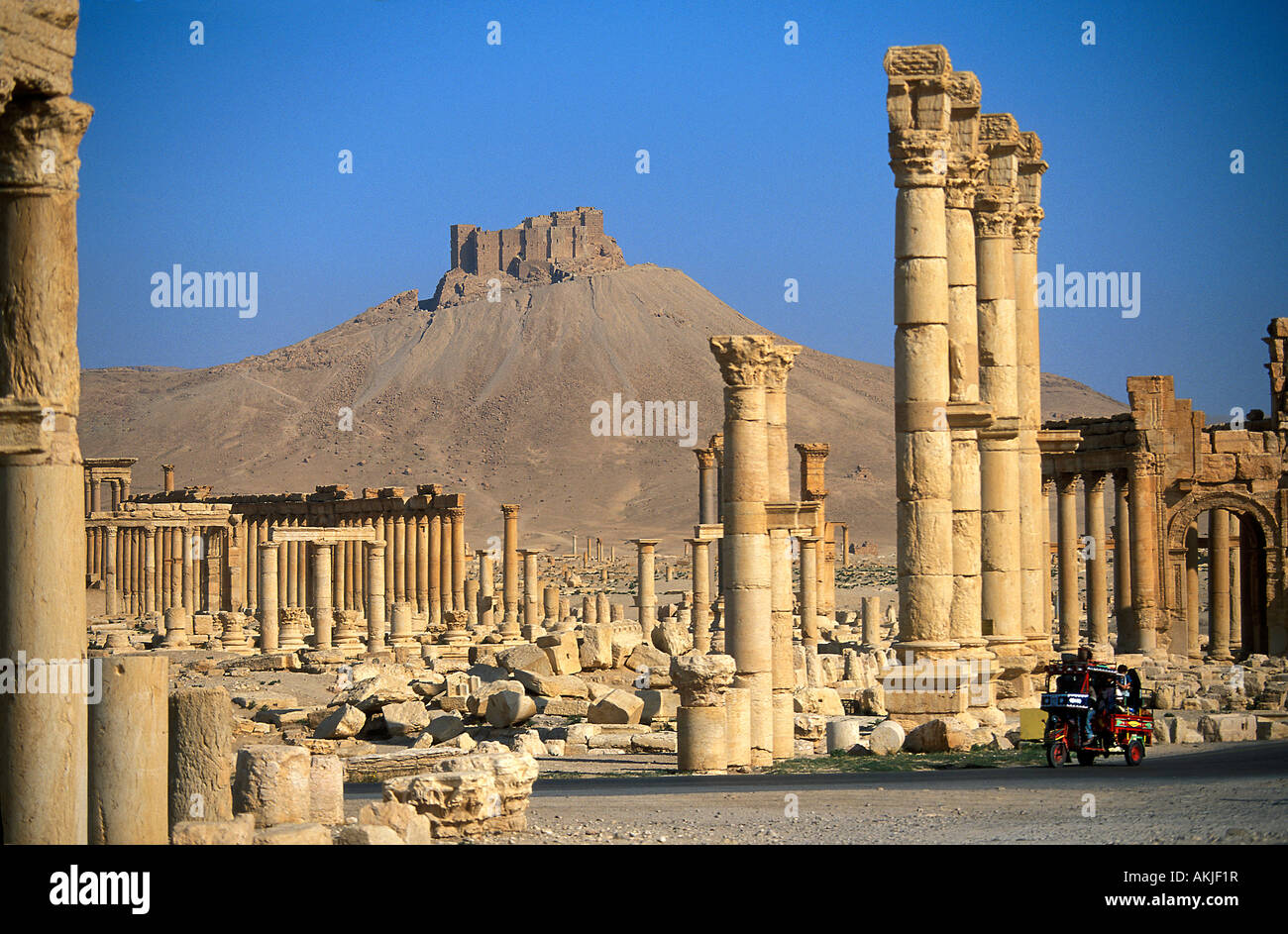 Syrien, Palmyra Stockfoto