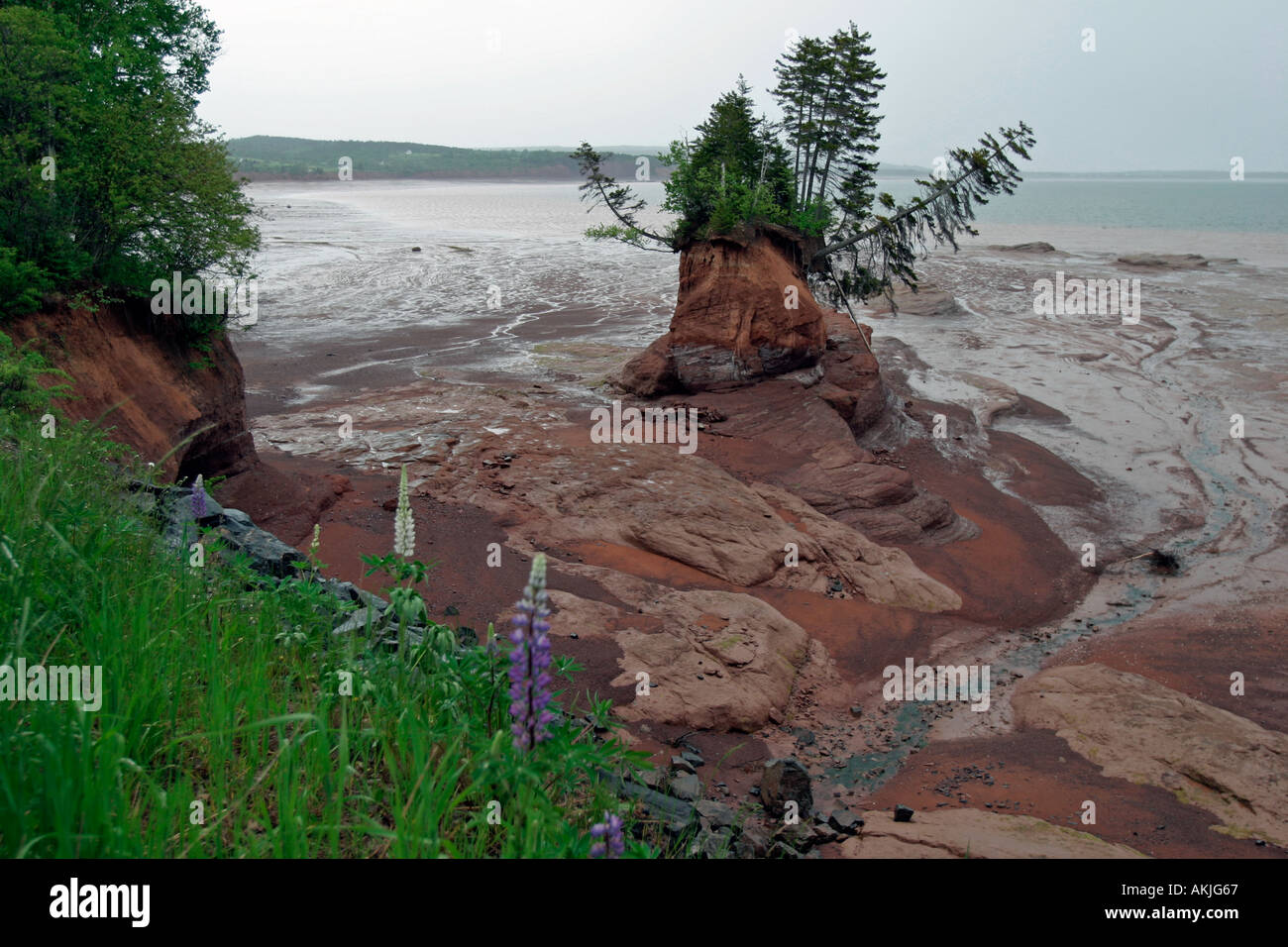 Meer geformte Blumentöpfe in der Nähe von Five Islands in Minas Basin Bay Of Fundy Nova Scotia Kanada Stockfoto