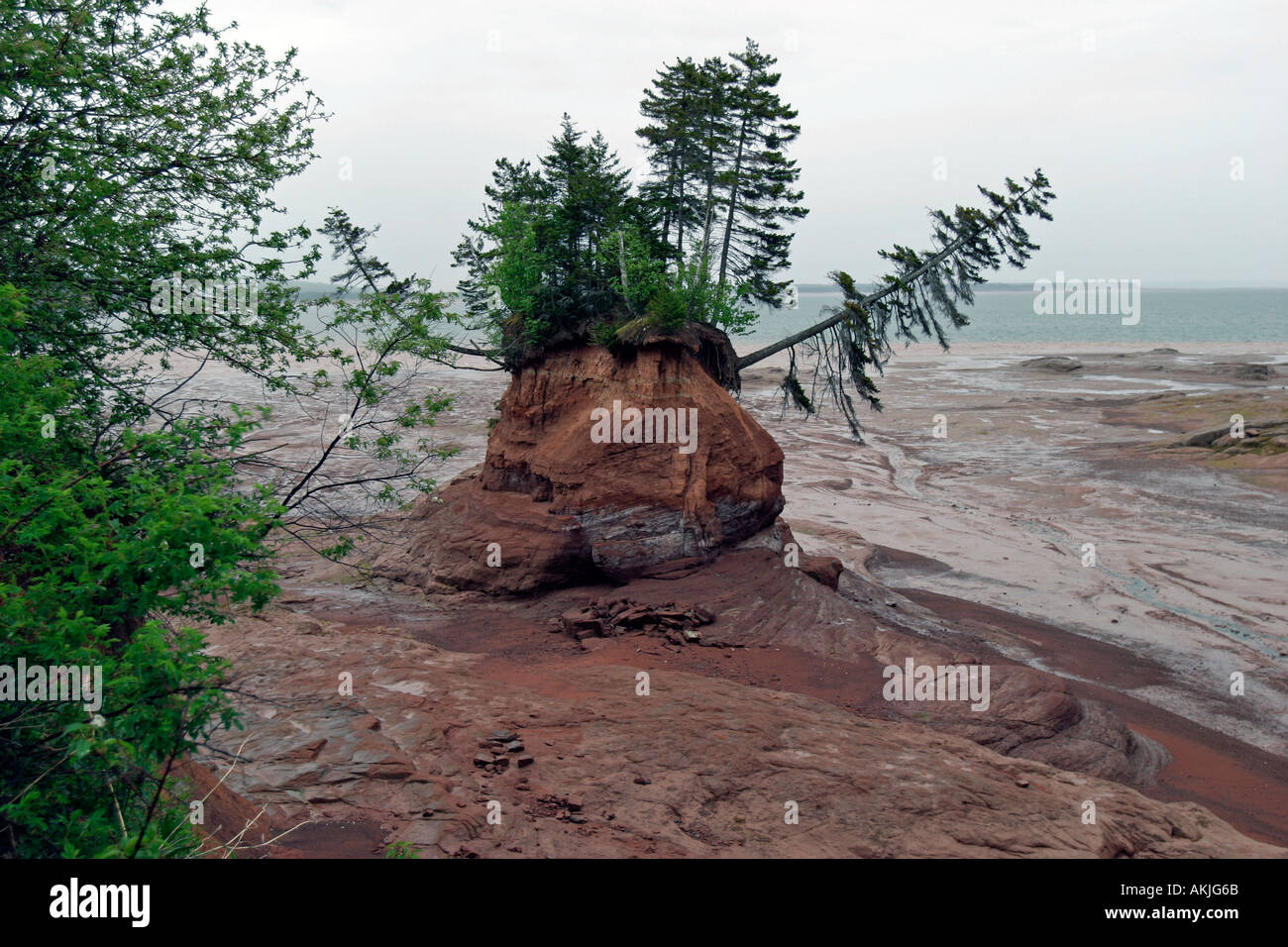 Meer geformte Blumentöpfe in der Nähe von Five Islands in Minas Basin Bay Of Fundy Nova Scotia Kanada Stockfoto