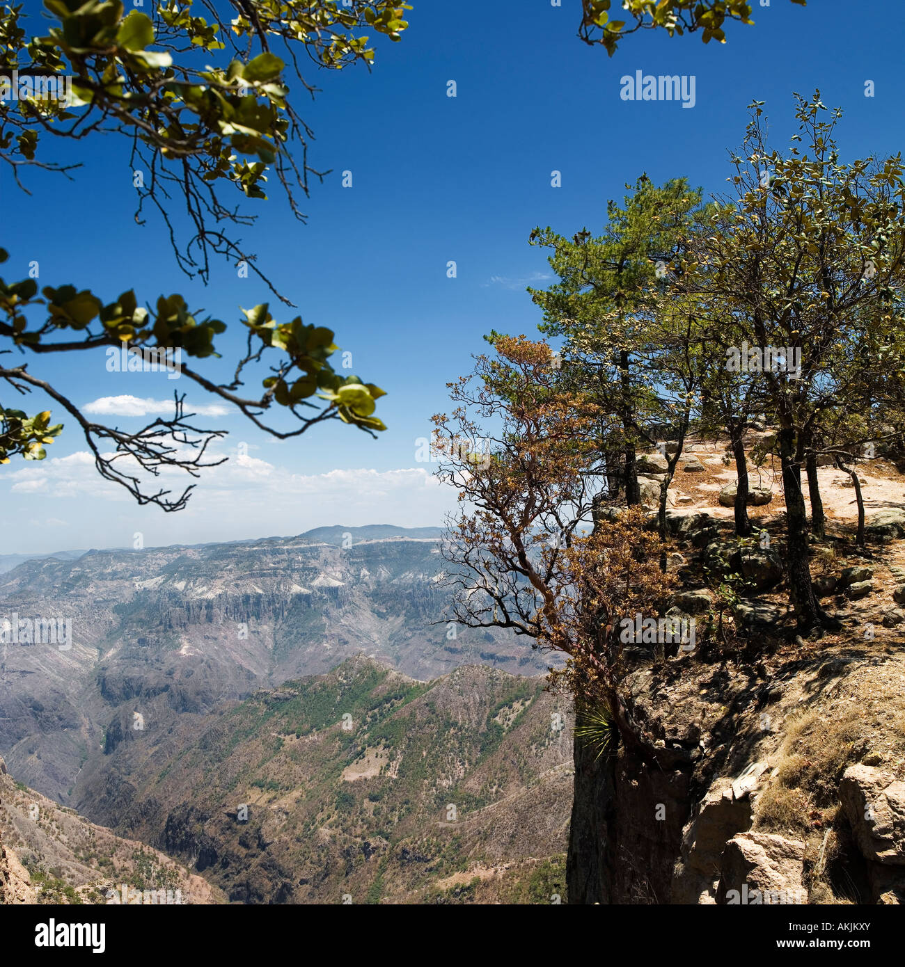 Vista Ansicht Kupfer Canyon Mexiko spektakulären Drop Höhe hohe Gipfel Höhe Reisen Tourismus Flucht Wochenende Urlaub Wandern Klettern Stockfoto