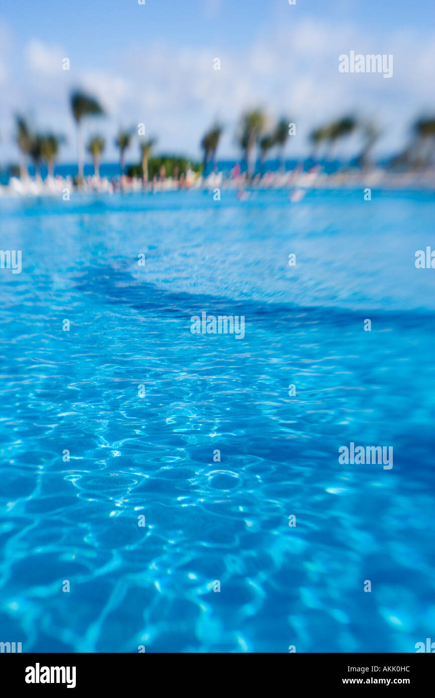 Glitzernden blauen Wasser und entfernte Bäume Stockfoto