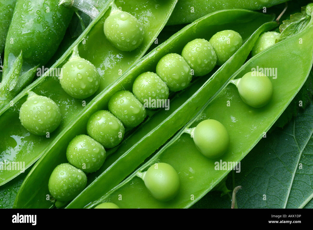 grüne Erbse Stockfoto