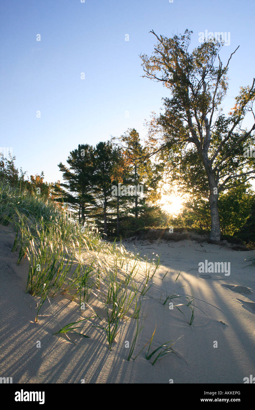 Sand und Sunburst Michigan s Upper Peninsula. Stockfoto