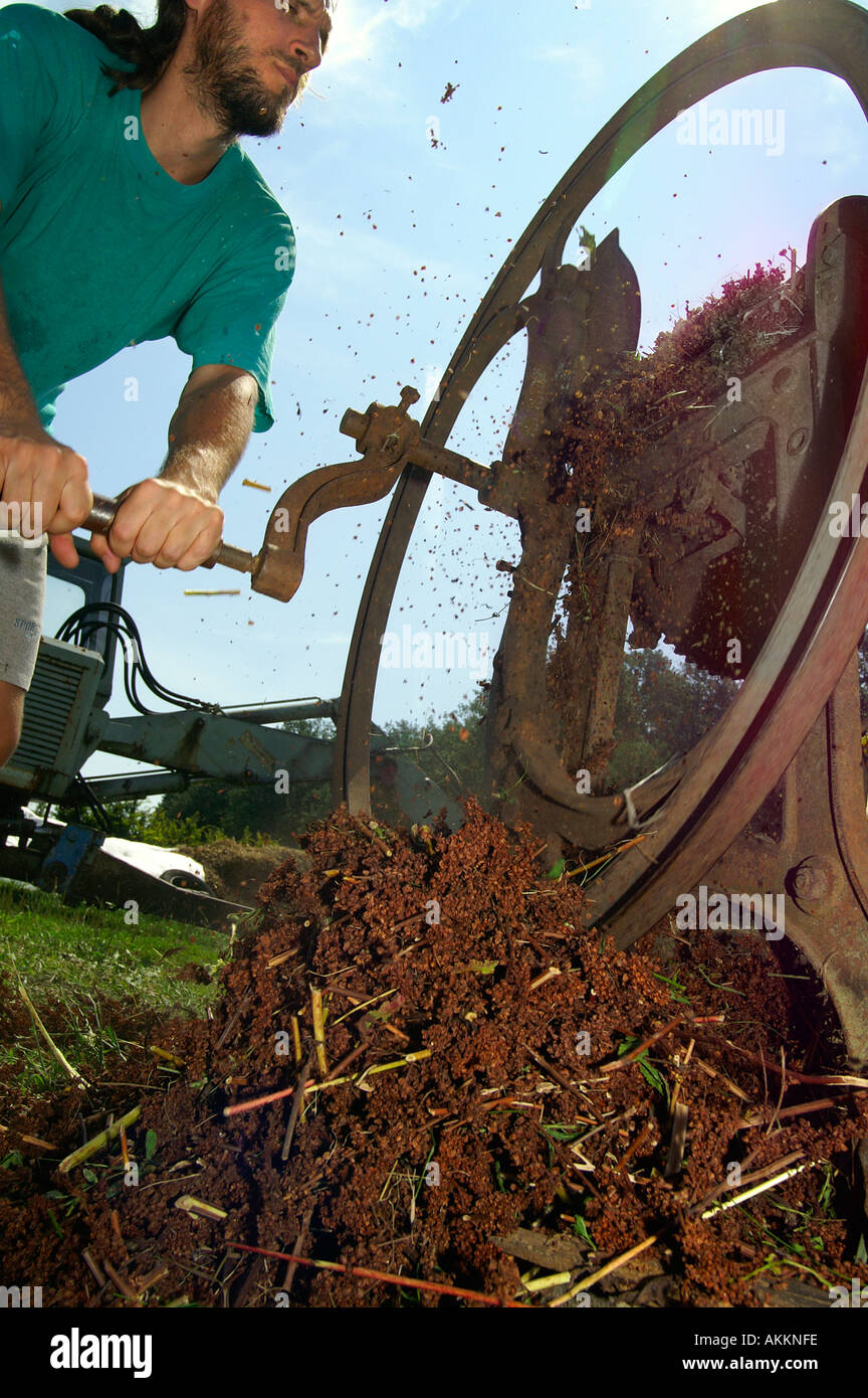 Arbeiter Mann Teenager Freiwilligen Ausschnittgras am Bio-Bauernhof in der Slowakei Stockfoto