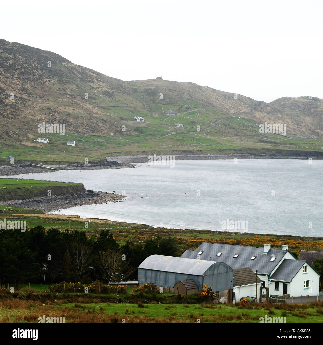 Bauernhof der Ring of Kerry, County Kerry, Irland Stockfoto