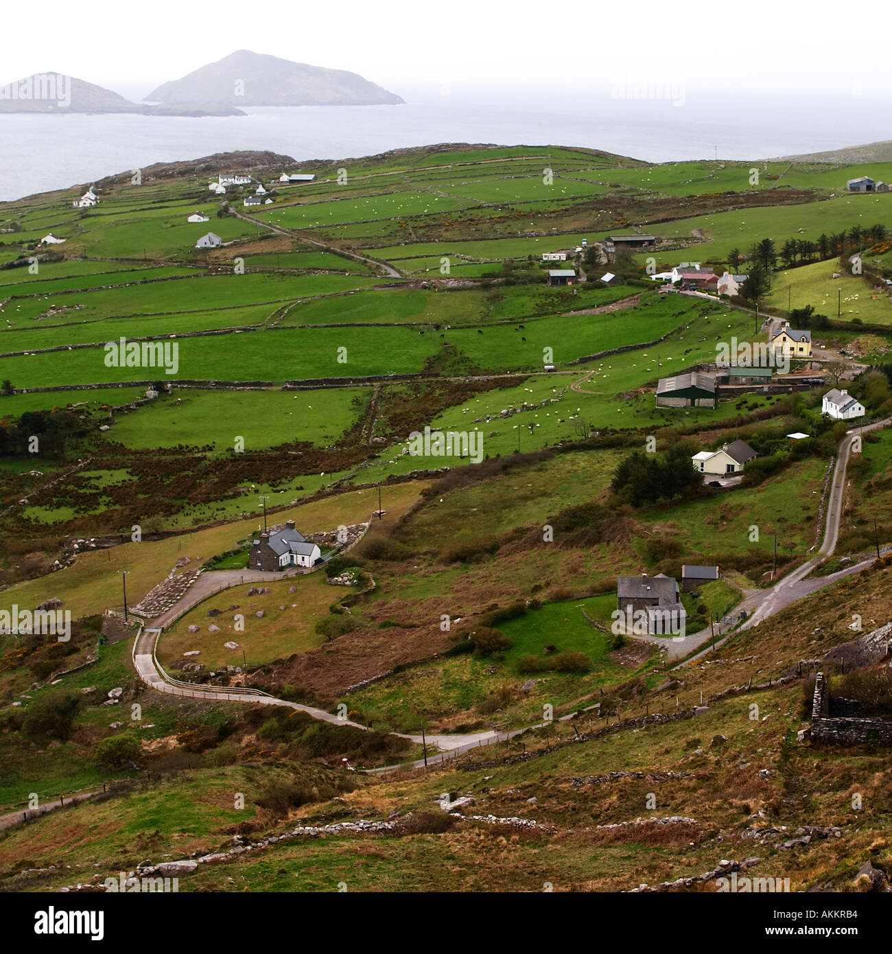 Kreisförmige Straßenrand der Ring of Kerry, County Kerry, Irland Stockfoto