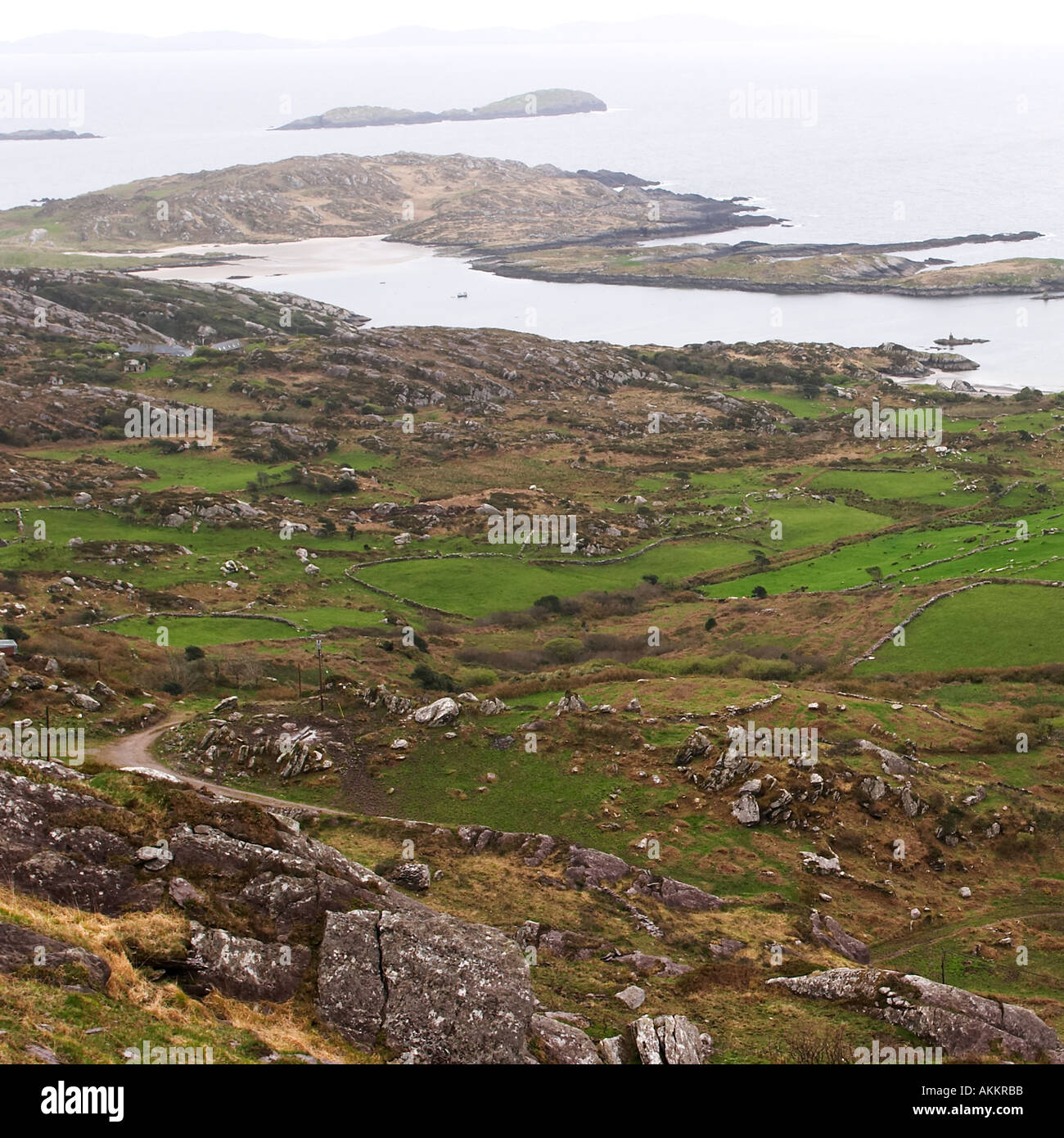 Felsigen Hügel der Ring of Kerry, County Kerry, Irland Stockfoto