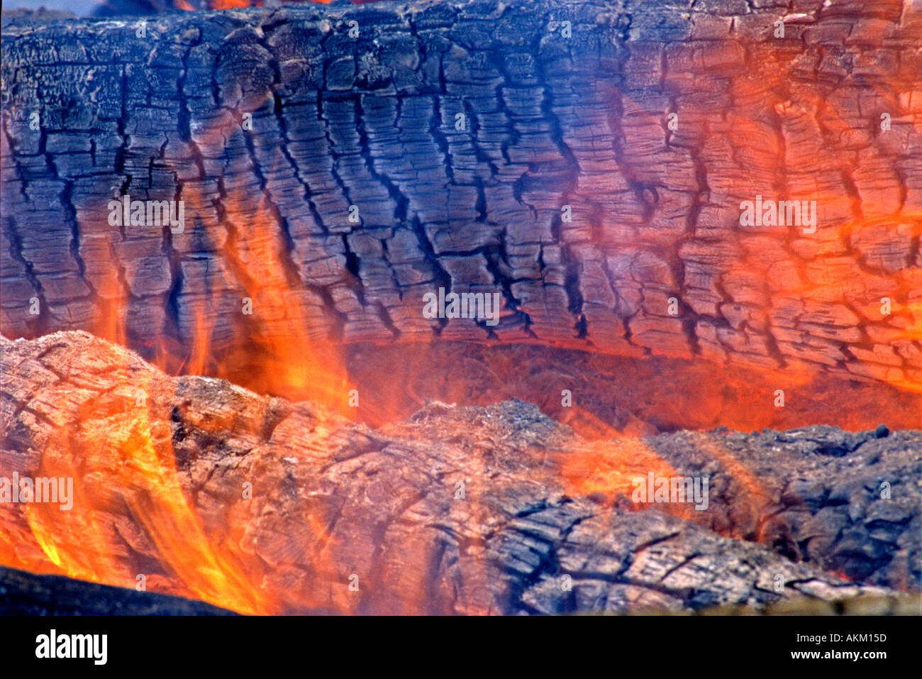 Brennende Holzscheite Stockfoto