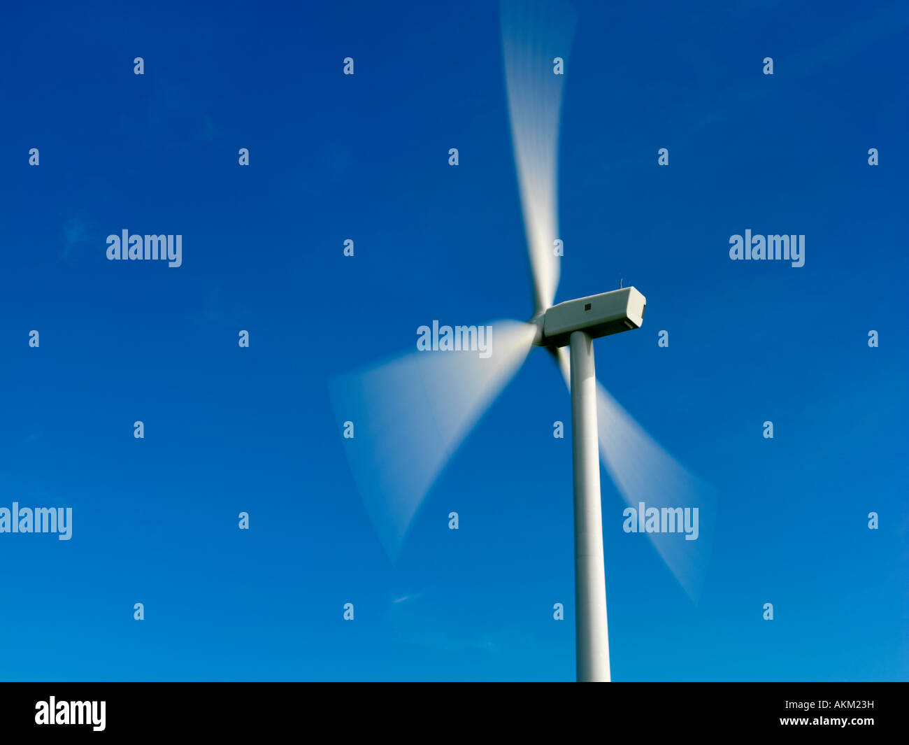 Kanada Ontario Tiverton Windkraftanlagen zur Stromerzeugung genutzt Stockfoto