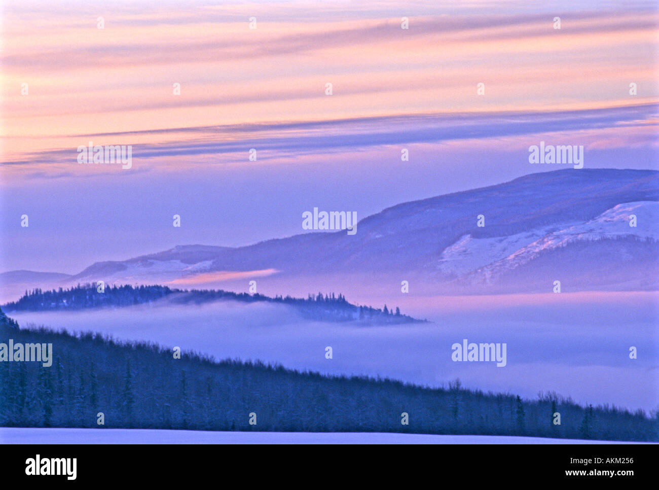 Rosa nebligen Morgen Stockfoto