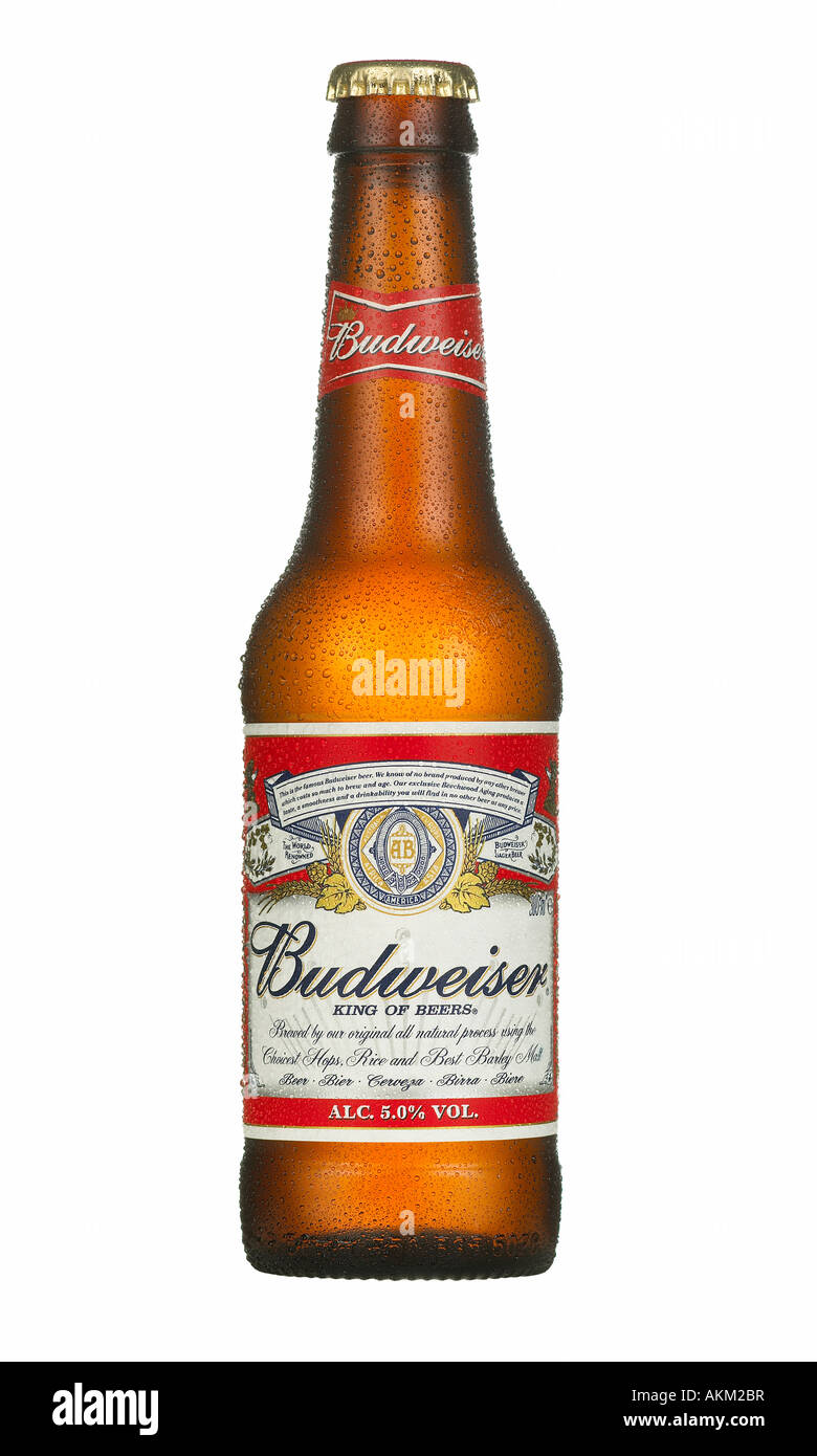 FLASCHE KALTES BUDWEISER BIER MIT WASSERTROPFEN Stockfoto