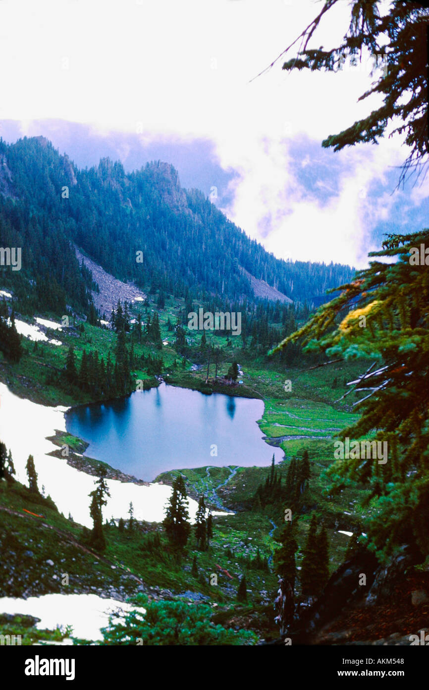 Olympic Nationalpark NP US-Bundesstaat Washington Vereinigte Staaten von Amerika USA Nord Stockfoto