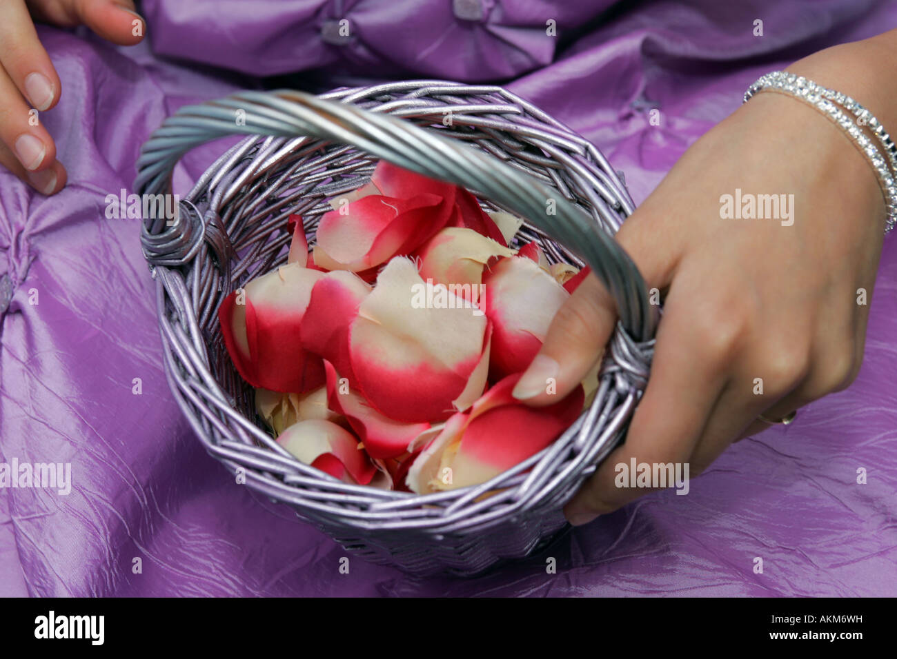 Bridemaid in einem lila Kleid hält eine Schale mit Blüten als Konfetti auf einer Hochzeit verwenden Stockfoto