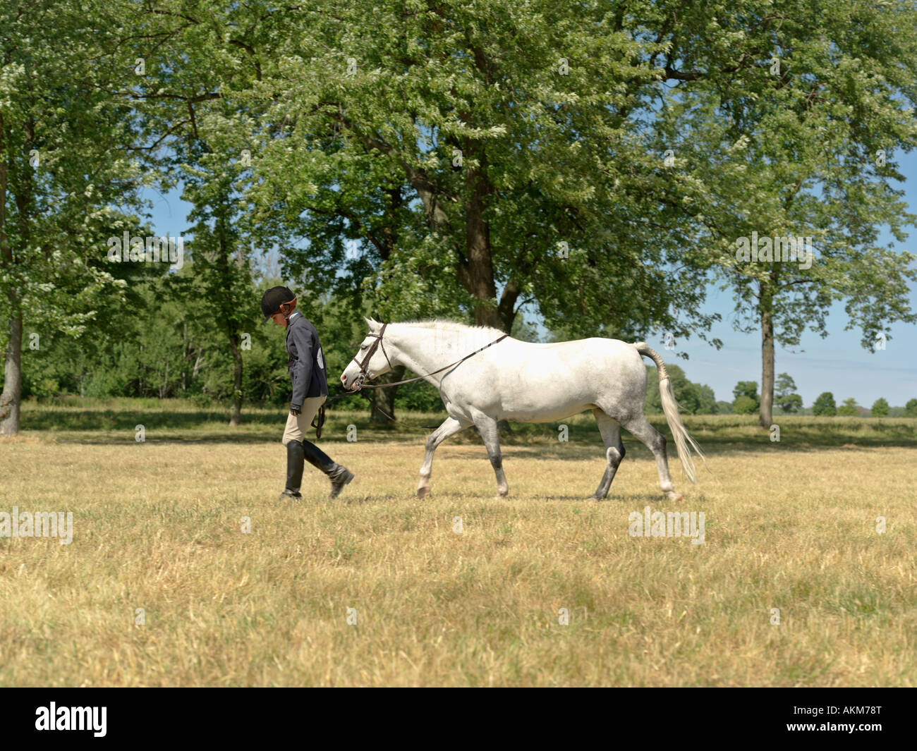 Kanada Ontario Niagara auf der See Teenager Pferdesport zu Fuß ihr Pferd in einem offenen Feld Stockfoto