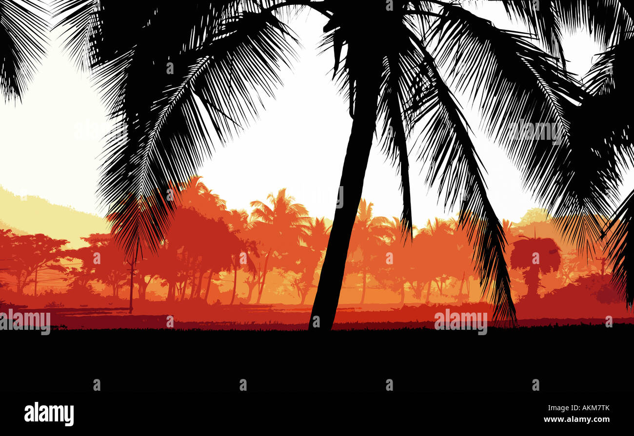 Indischer Kokos Baum Tagesanbruch Foto Illustration. Indien Stockfoto