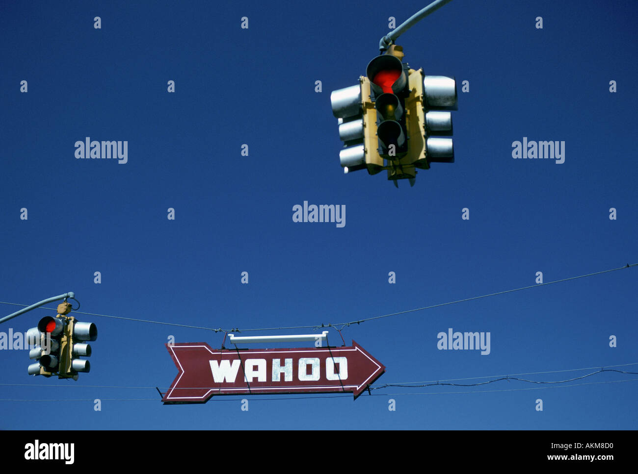 Wahoo Stockfoto