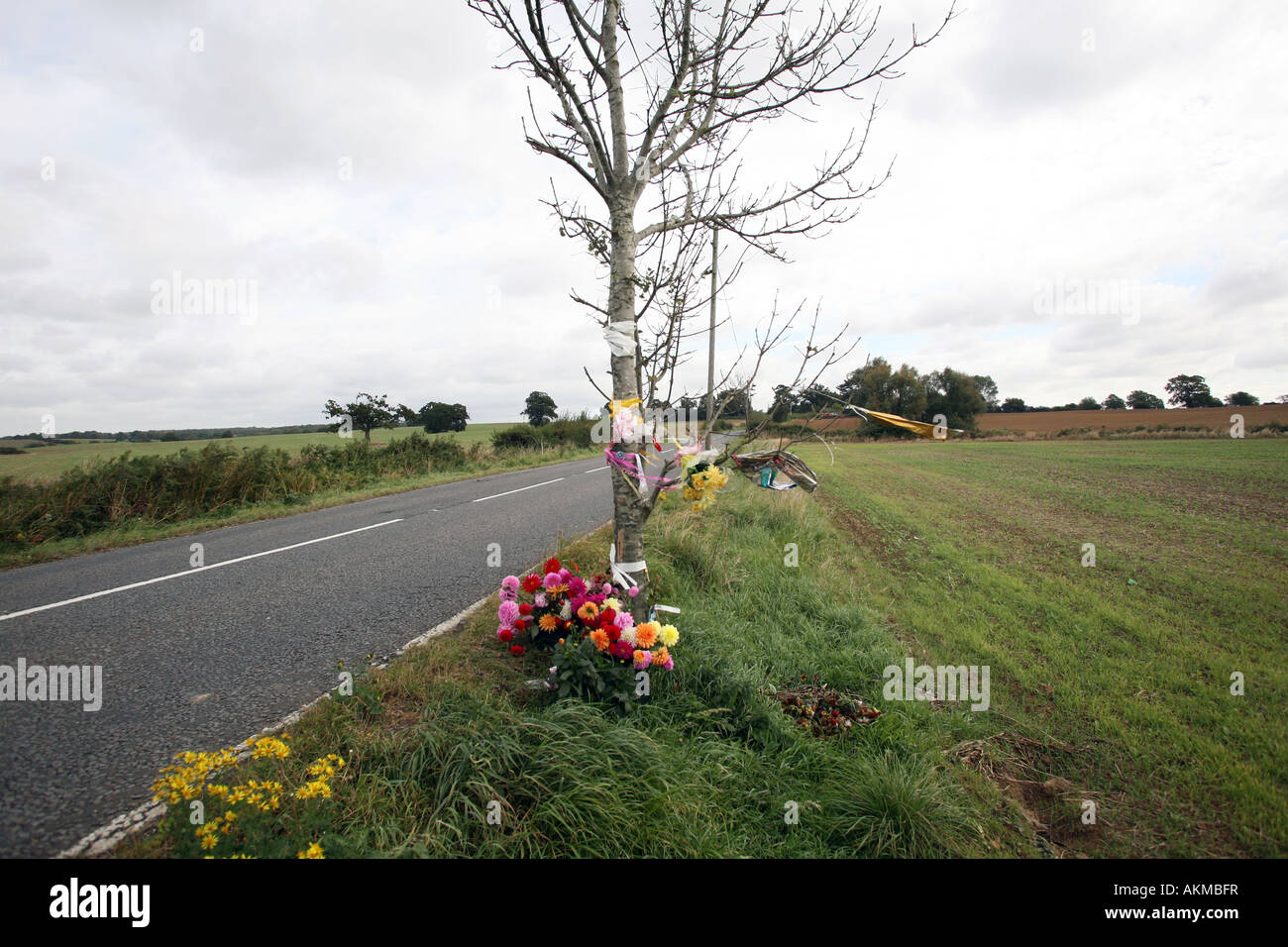 ein am Straßenrand Denkmal für ein Auto-Absturz-Opfer Stockfoto