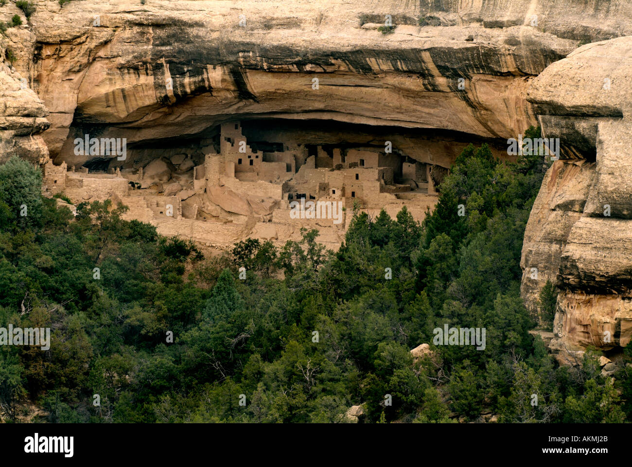 Cliff Palace im Mesa Verde Nationalpark Colorado USA Stockfoto