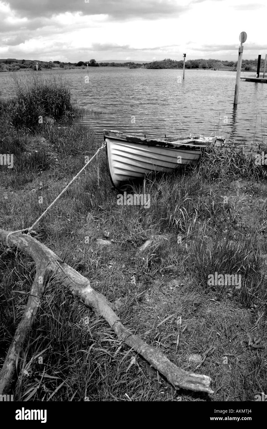 Kleines Ruderboot festgemacht im Schilf auf Lough Allen nahe Drumshanbo, Grafschaft Leitrim, Irland Stockfoto
