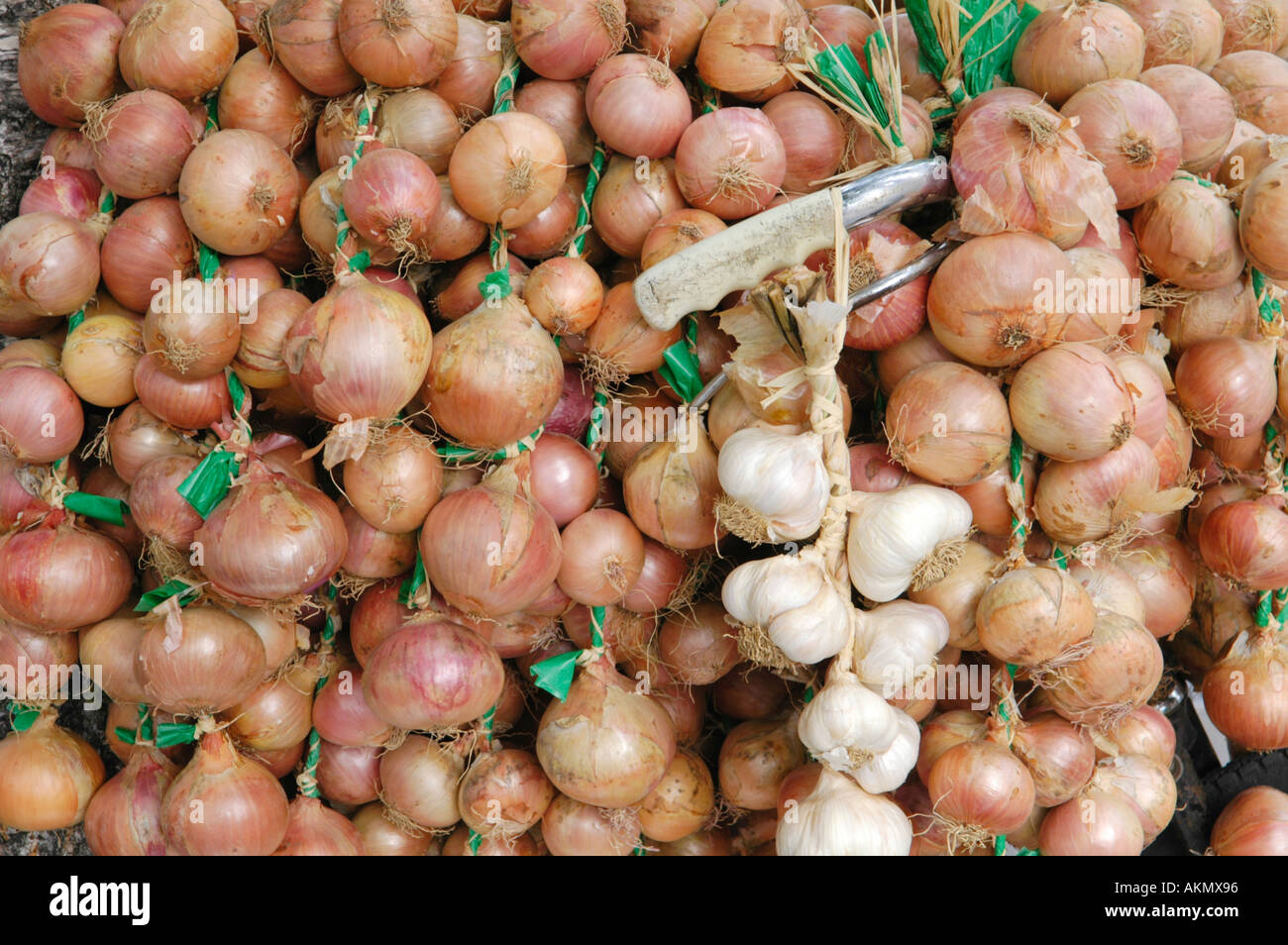 Zwiebeln und Knoblauch, aufgereiht auf einem Fahrrad zum Verkauf an das jährliche Food Festival in Abergavenny Monmouthshire Wales UK GB Stockfoto