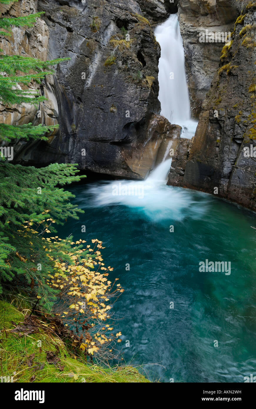 Lower Falls Entleerung in türkisfarbenen Pool im Herbst an der Johnston Canyon kanadischen Rocky Mountains Banff Nationalpark Alberta Kanada Stockfoto