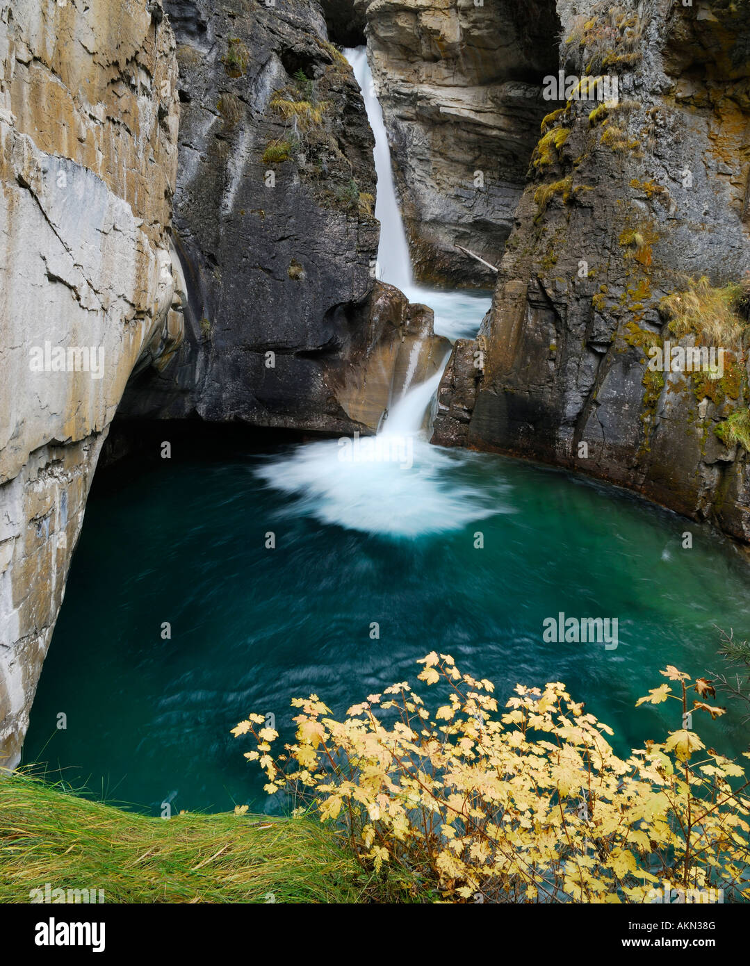 Johnston Canyon Lower Falls Pool im Herbst Kanadische Rocky Mountains Banff Nationalpark Alberta Kanada Stockfoto