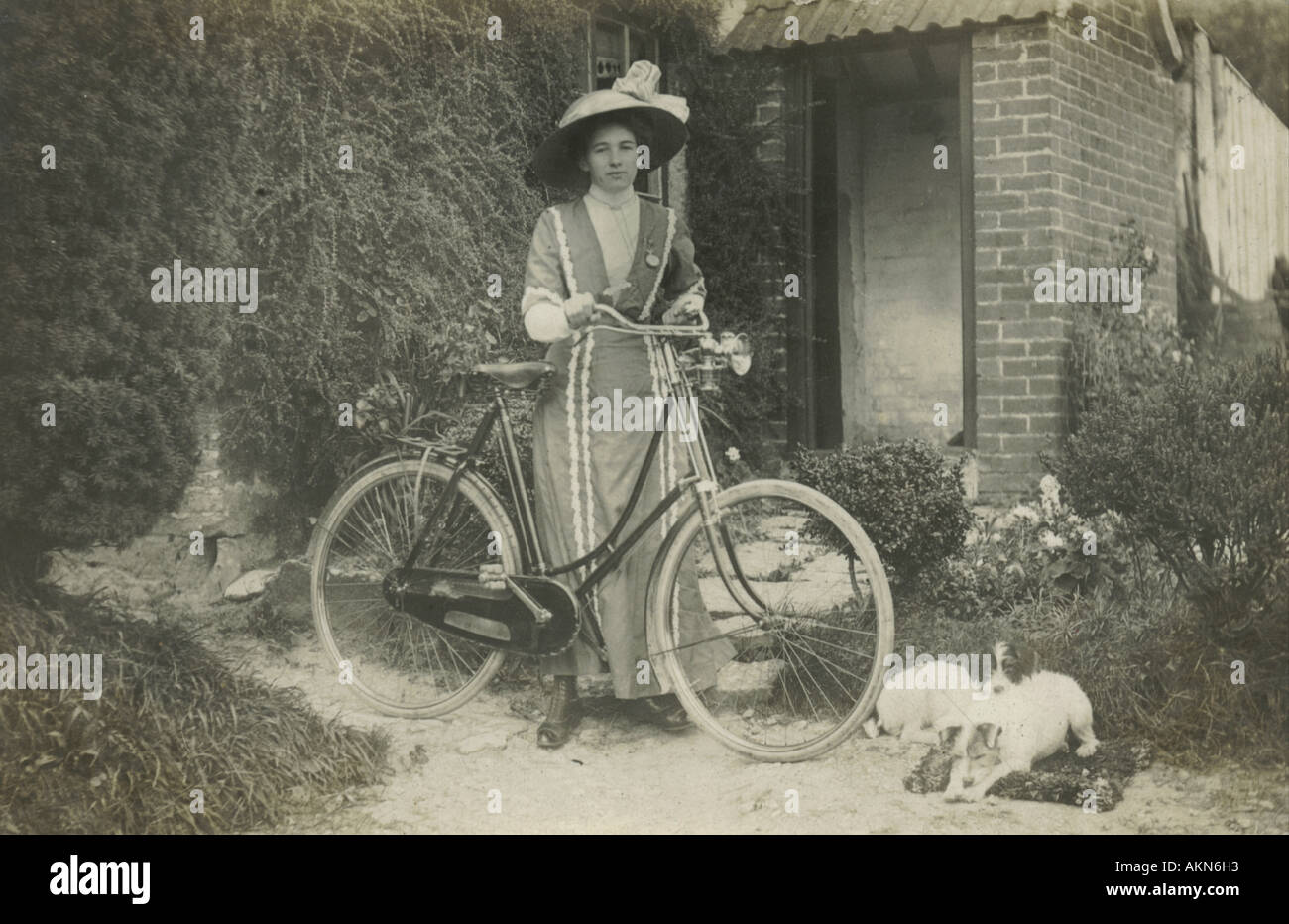 Fotografische Ansichtskarte junge Frau mit Hunde und Fahrrad in ihrem Garten um 1910 Stockfoto