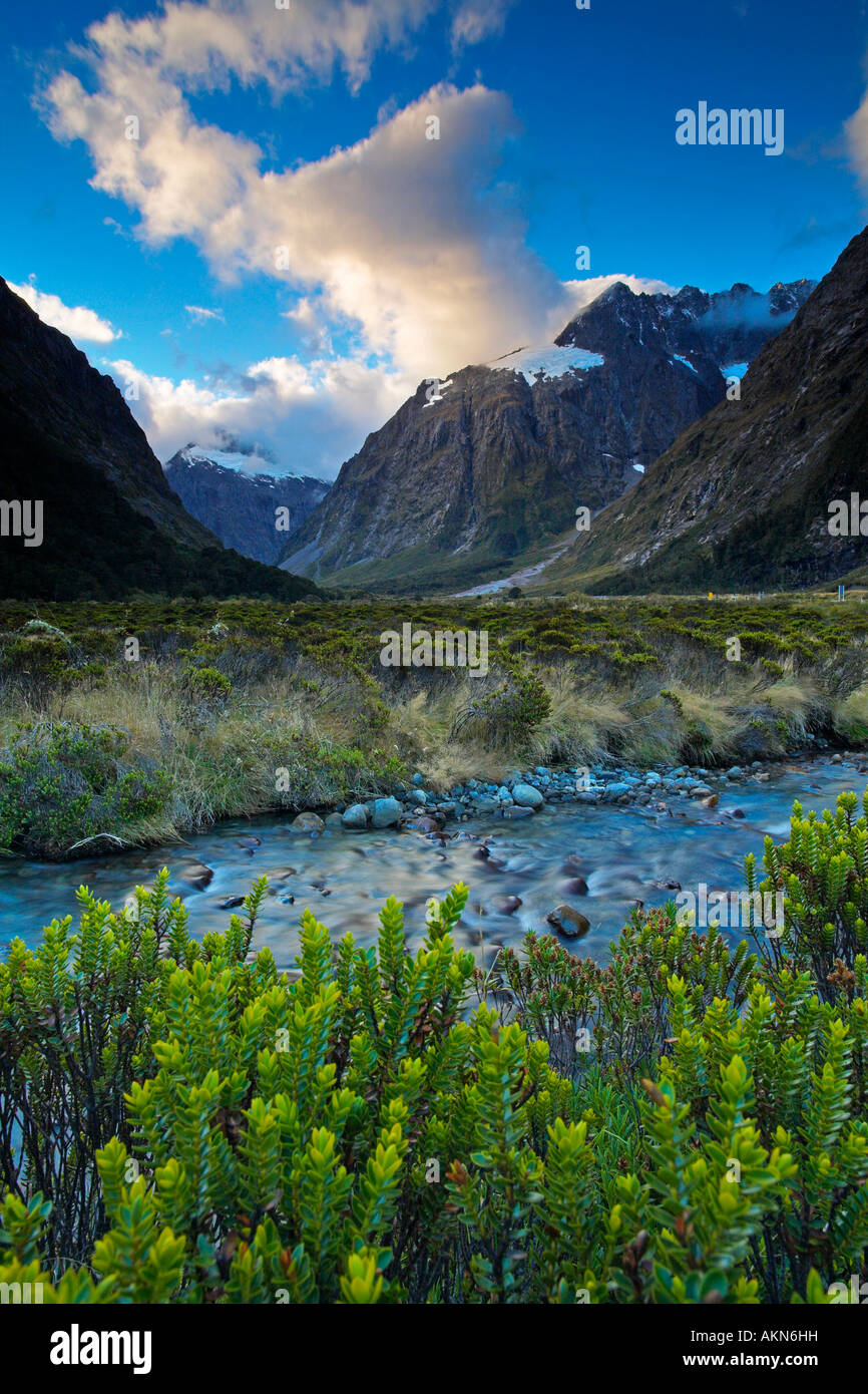 Tal im Fiordland Nationalpark, Südinsel, Neuseeland Stockfoto