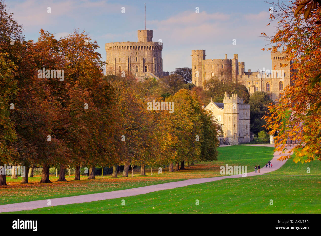 Herbstfärbung bei The Long Walk führt auf Windsor Castle in der Royal County of Berkshire, England, UK Stockfoto