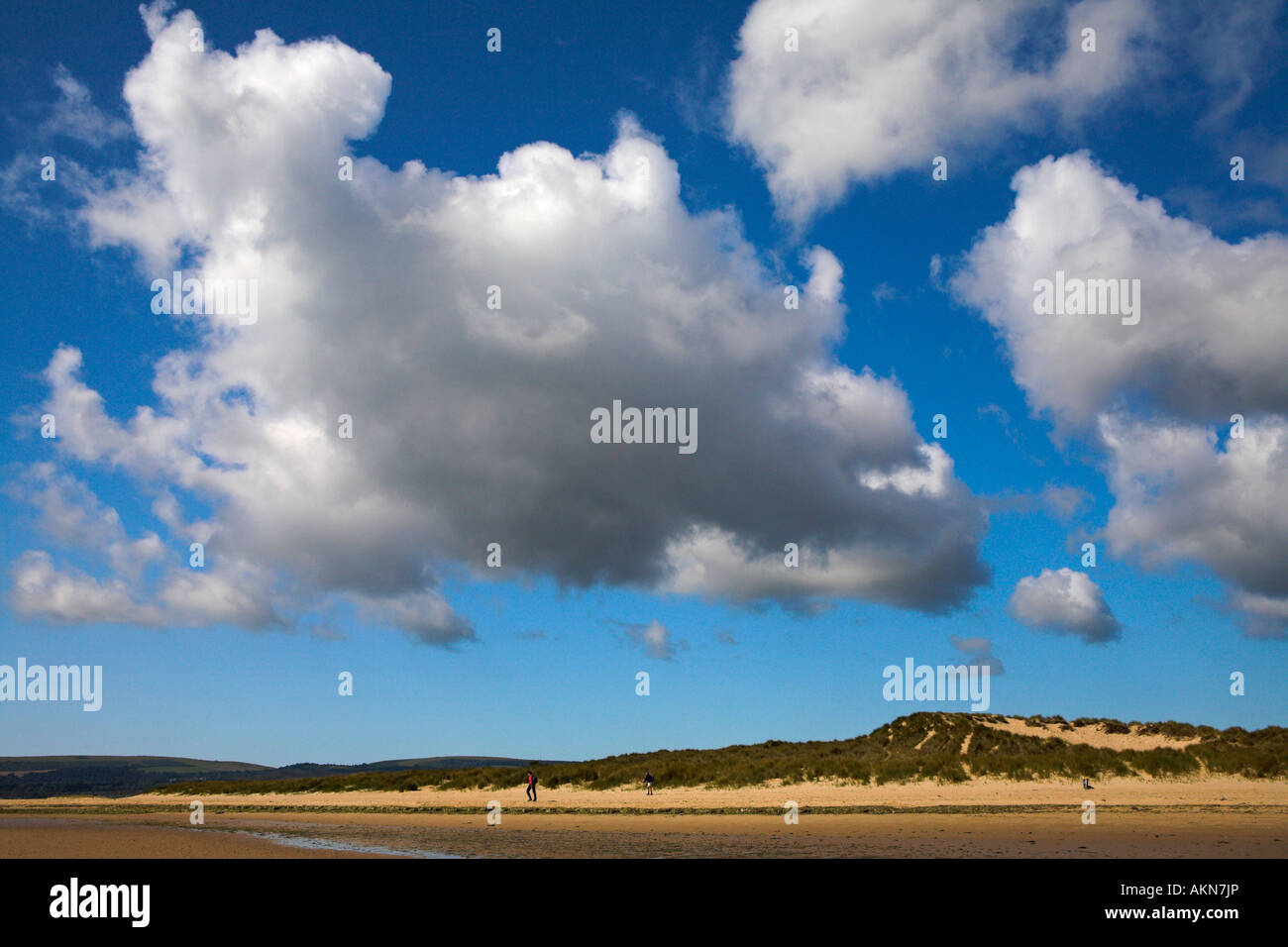 Sommertag auf den Sanddünen von Studland Bay, Dorset Stockfoto