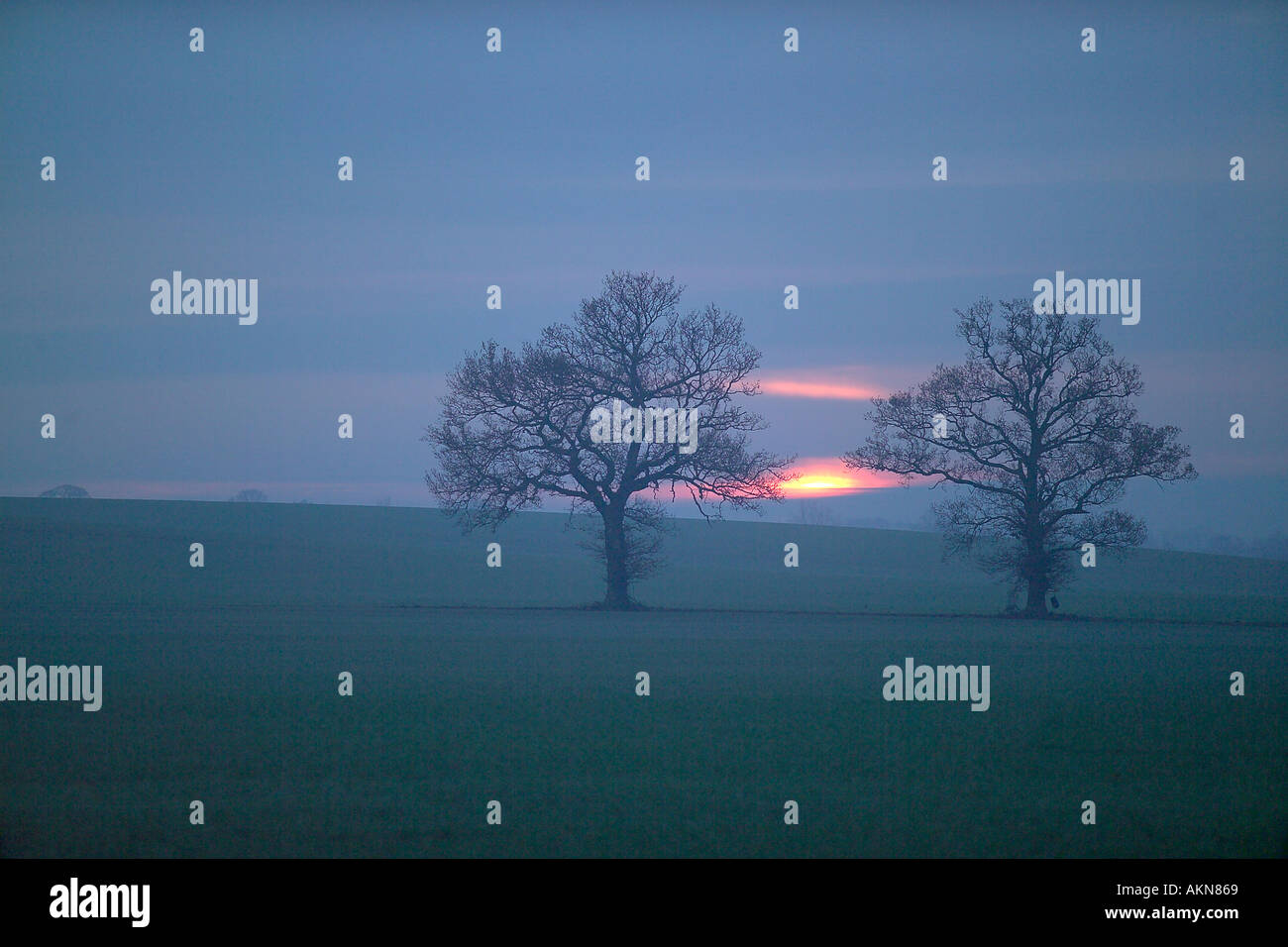 die untergehende Sonne hinter einigen Bäumen in der englischen Landschaft Stockfoto