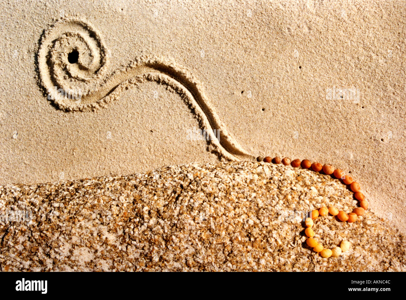 Strand-Kunst Stockfoto