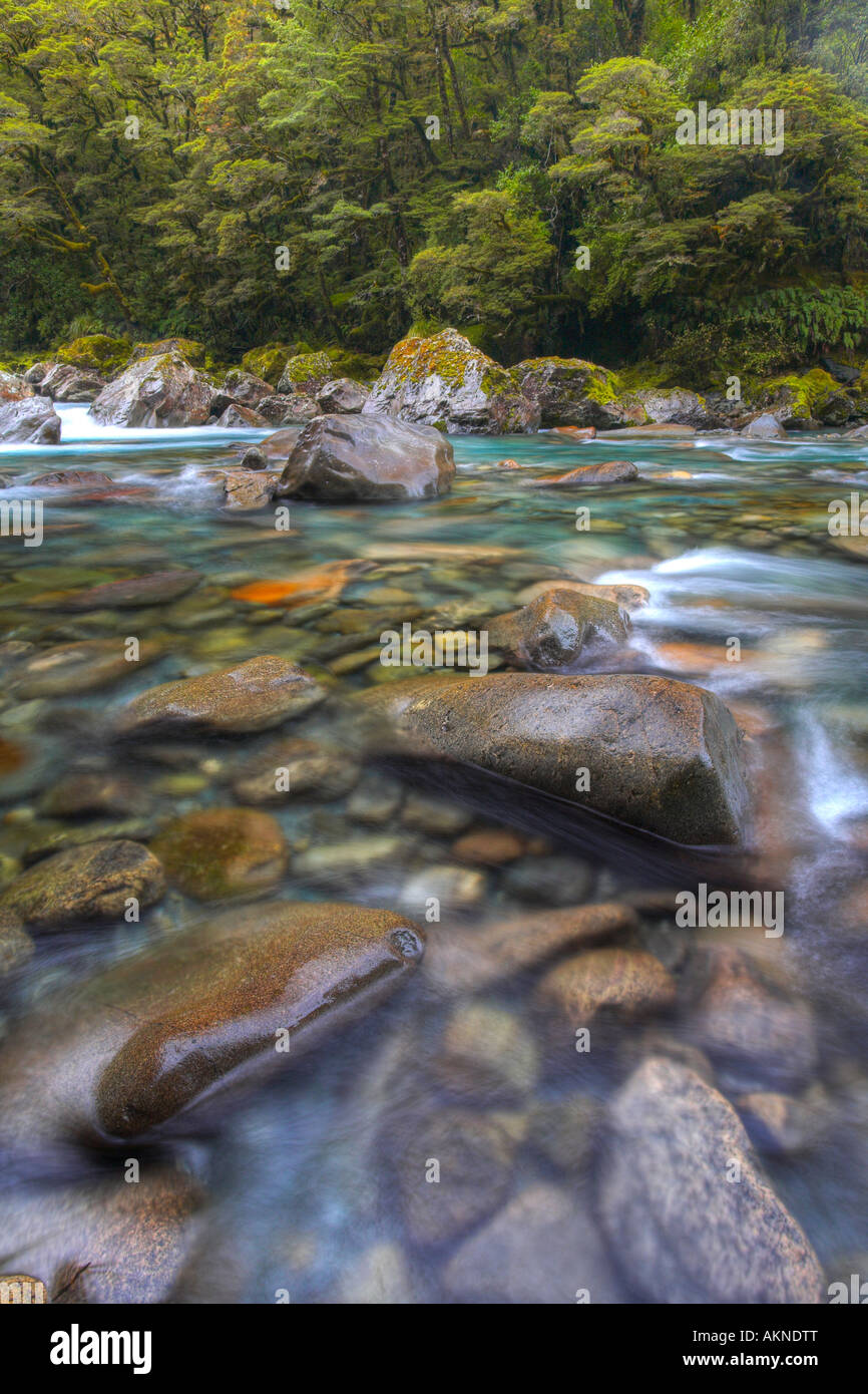 Kristallklare Rocky River im Fjordland National Park, Neuseeland Stockfoto