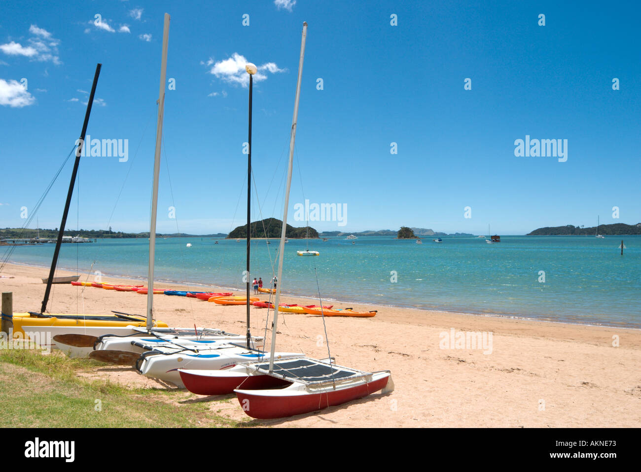 Strand in Paihia, Bay of Islands, Northland, Nordinsel, Neuseeland Stockfoto