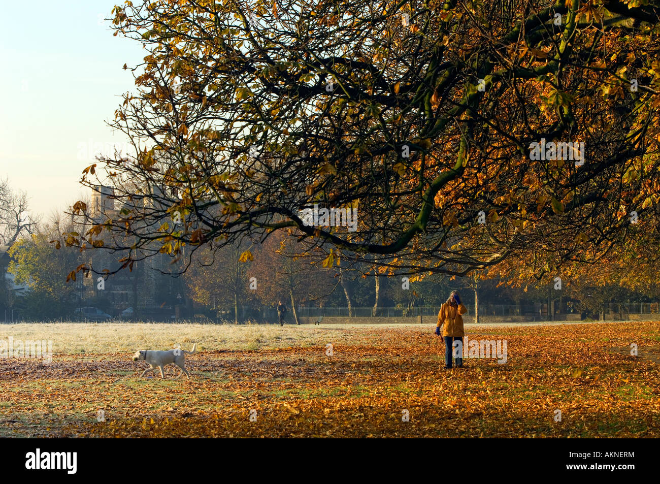 Frostiger Morgen Ealing Common London Vereinigtes Königreich Stockfoto