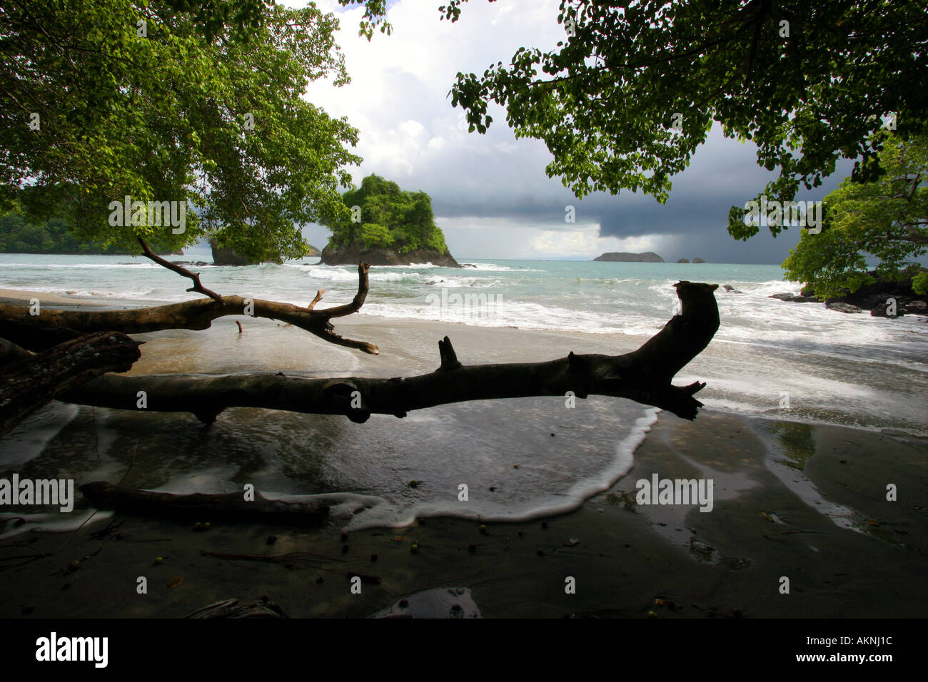 Manuel Antonio Nationalpark costarica Stockfoto