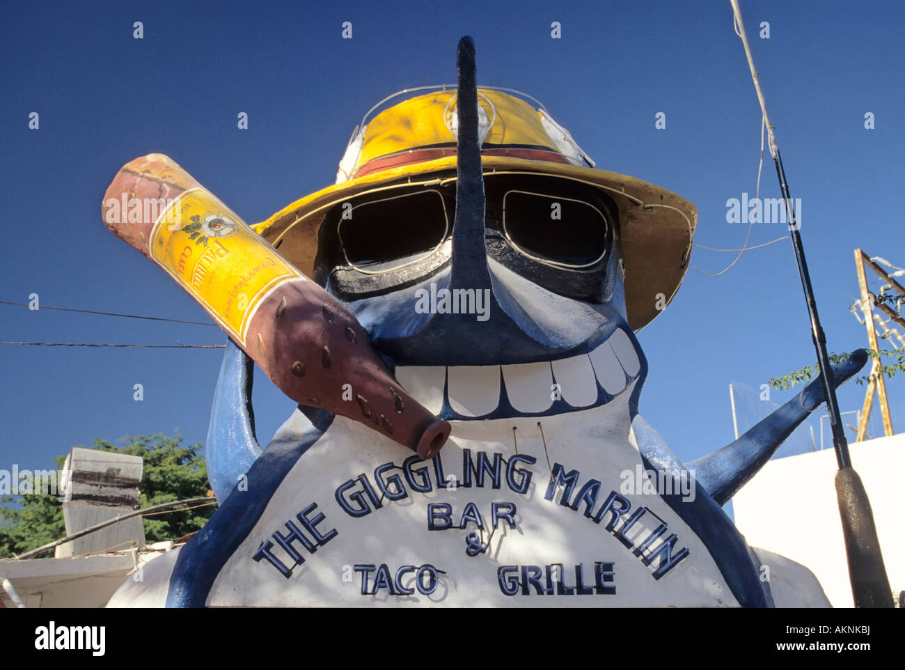 Die kichern Marlin Bar unterzeichnen in Cabo San Lucas, Baja California Sur, Mexiko Stockfoto